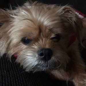 Meet your Posher, Lori